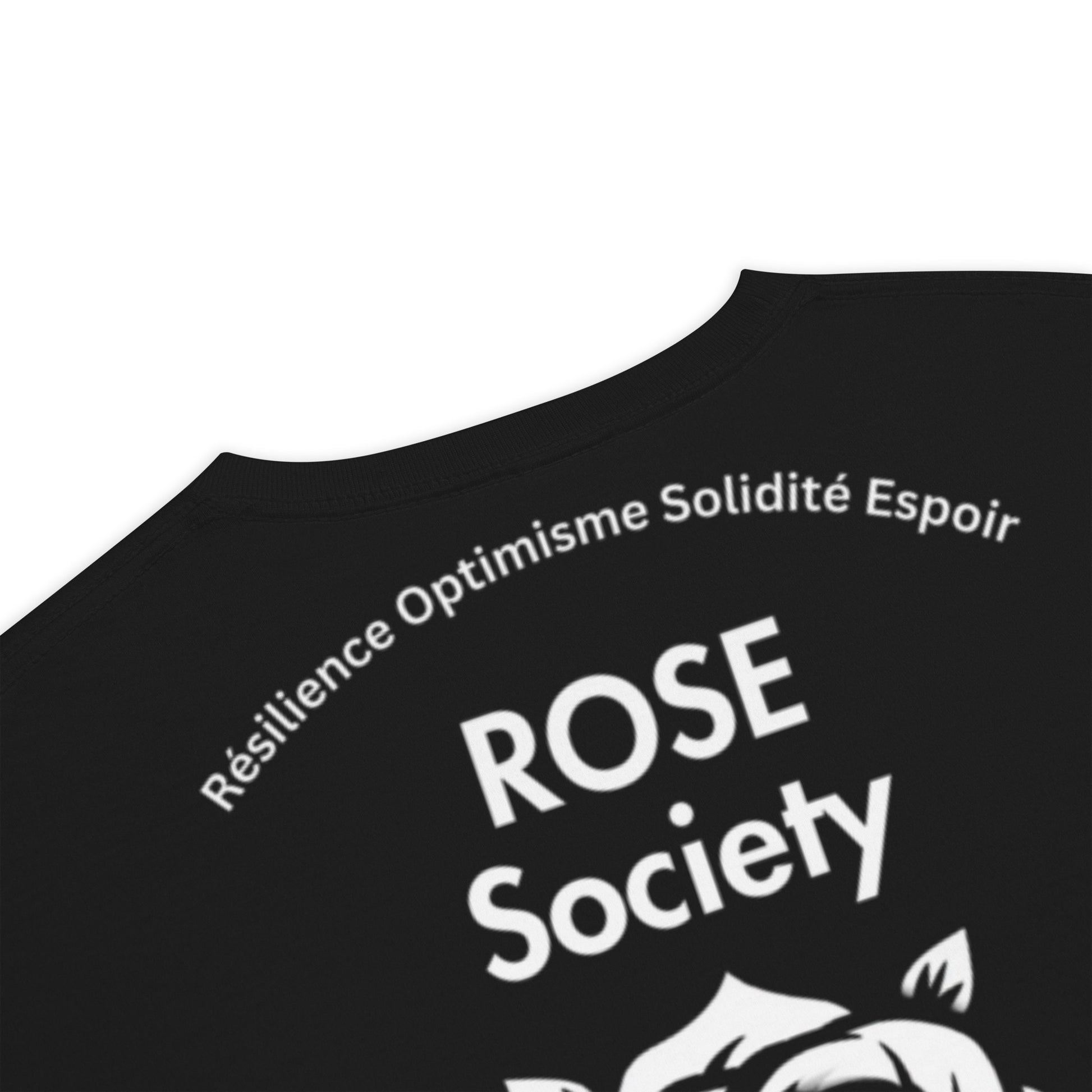 Rainbow Horizon Bear T-Shirt Black - ROSE Society